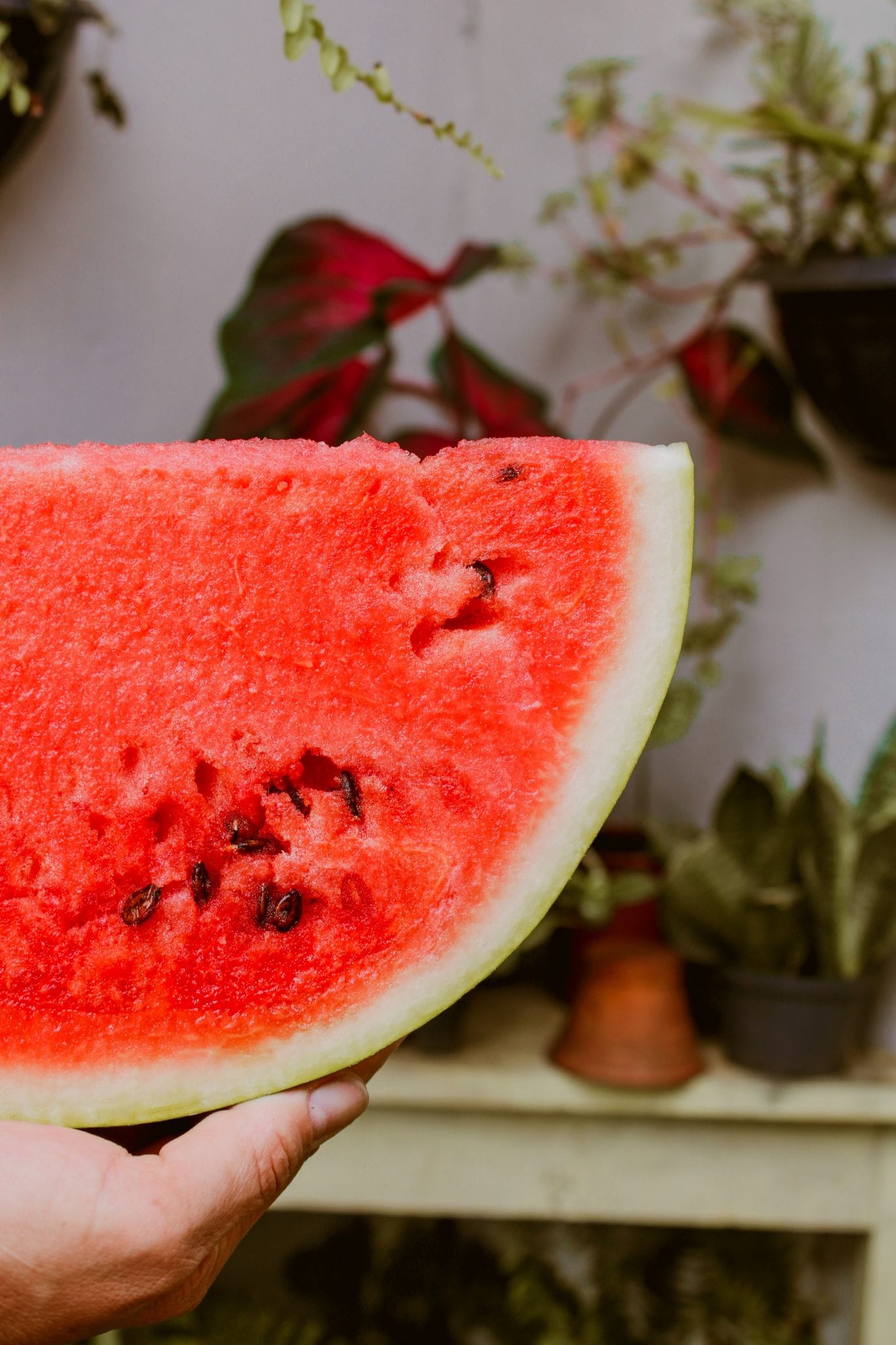 Watermelon 3 p5p supplement for hair growth