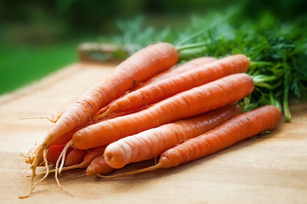 Carrots provide vitamin A which supports follicle bulb cell division and helps make sebum to condition scalp and hair Carrots provide vitamin A which supports follicle bulb cell division and helps make sebum to condition scalp and hair