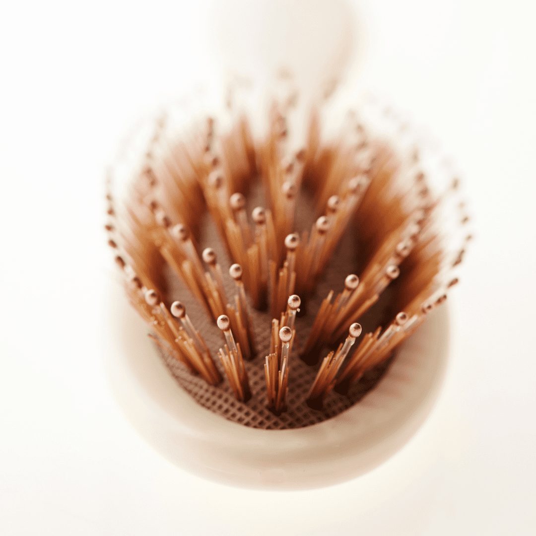 Hair shedding on brush An increased amount of hair shedding on a brush